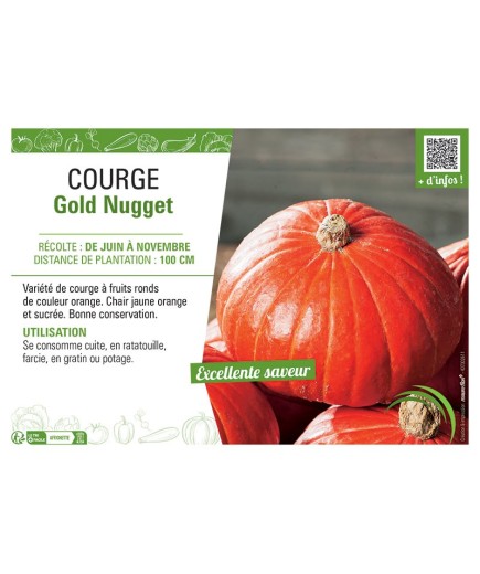 COURGE GOLD NUGGET