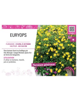 EURYOPS