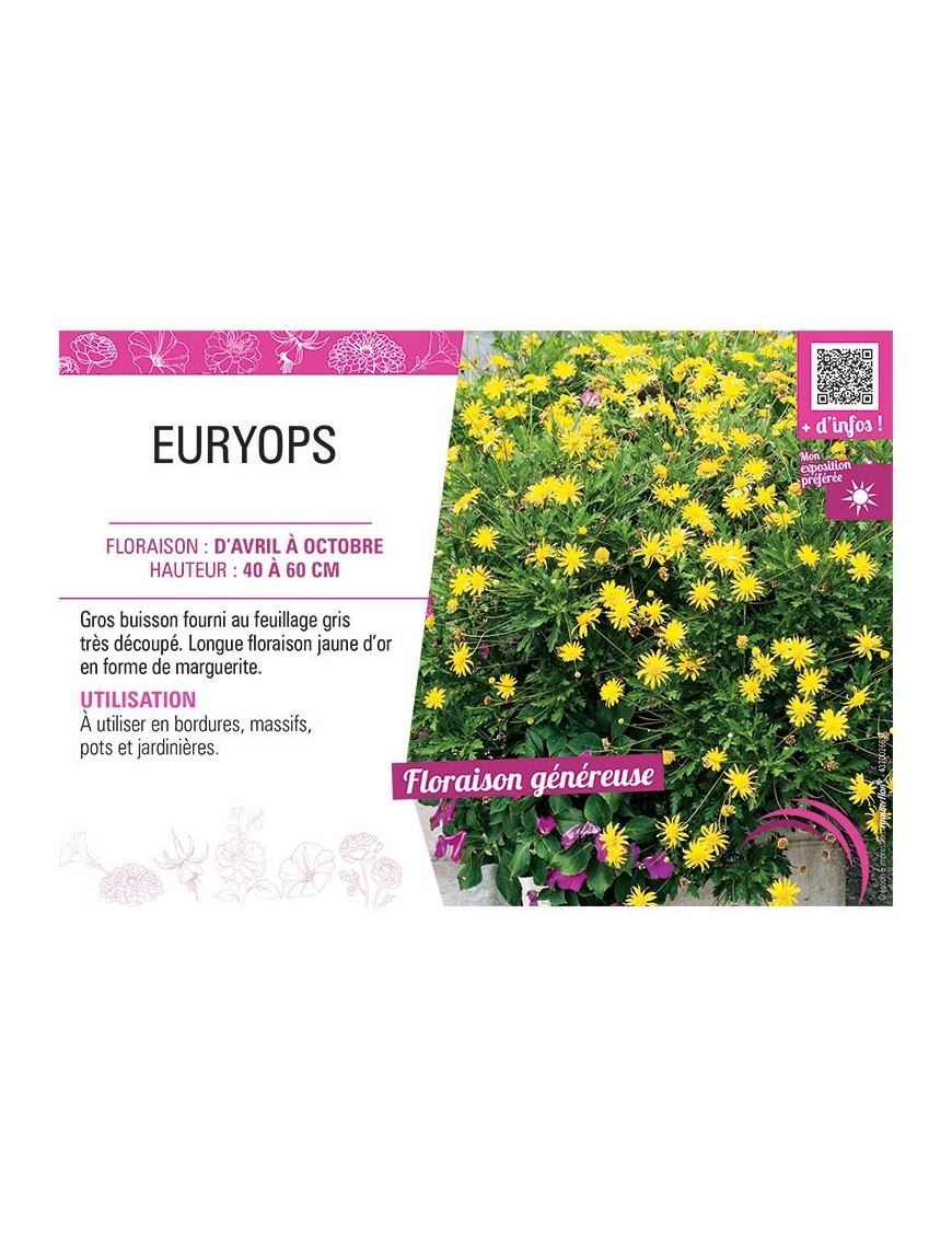 EURYOPS