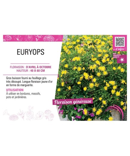 EURYOPS