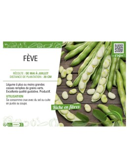 FÈVE