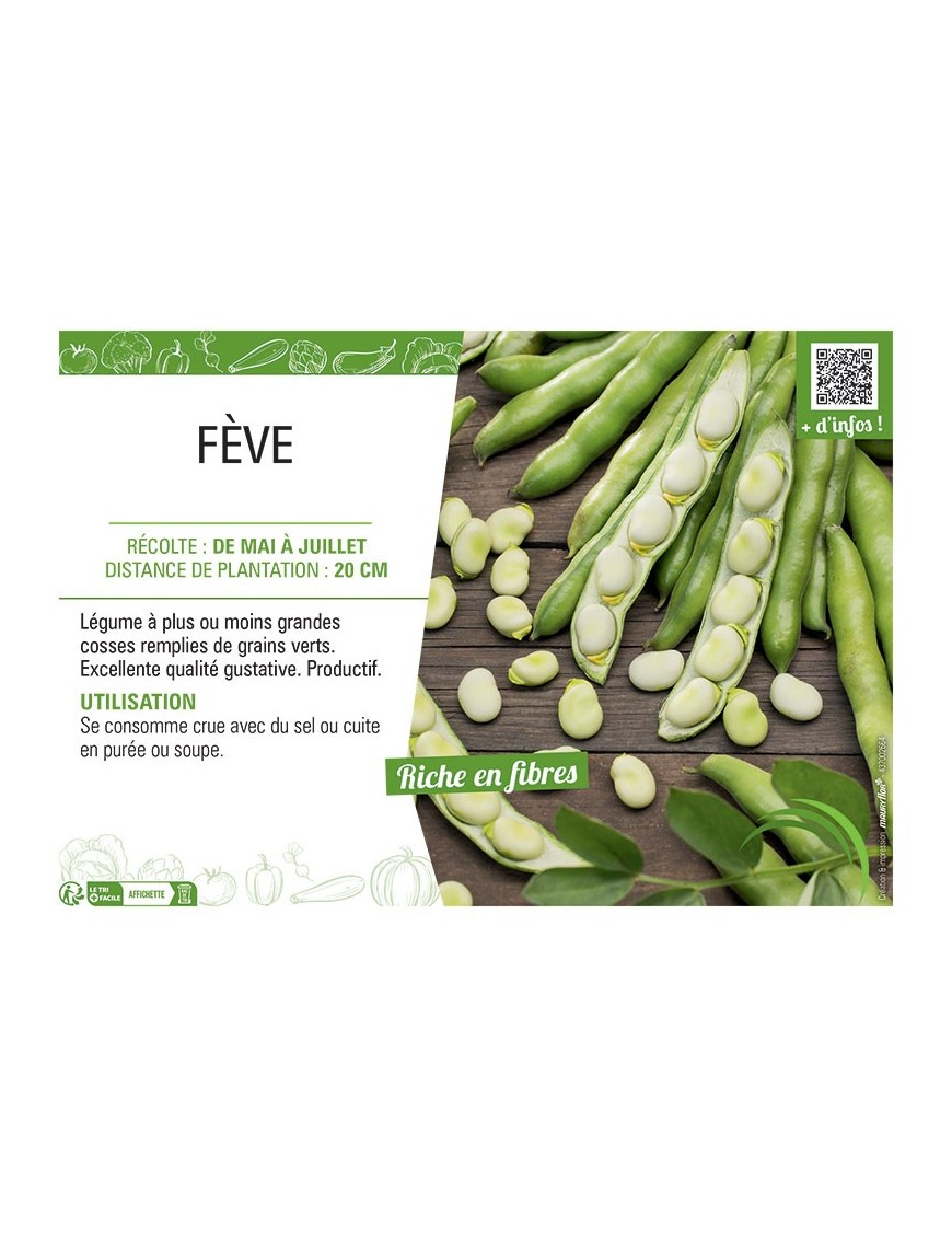FÈVE