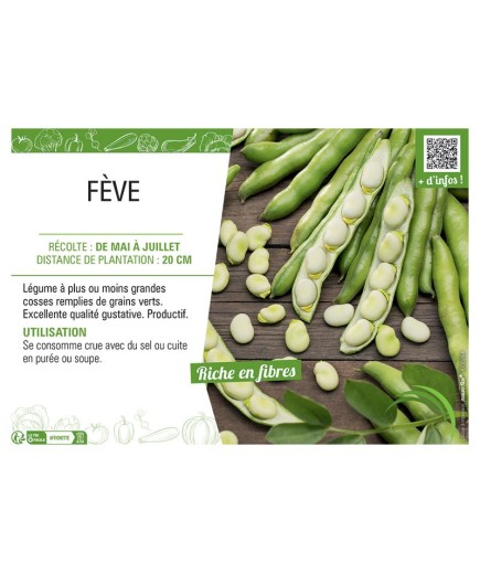 FÈVE