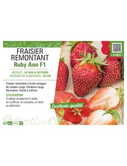 FRAISIER RUBY ANN F1