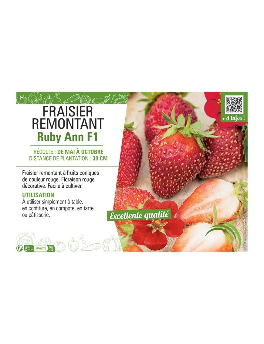 FRAISIER RUBY ANN F1