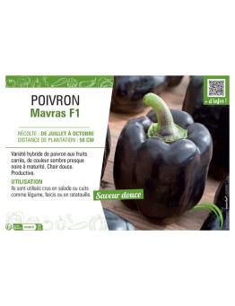 POIVRON MAVRAS F1
