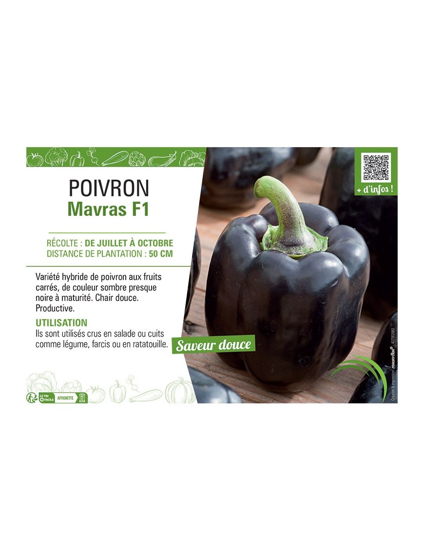 POIVRON MAVRAS F1