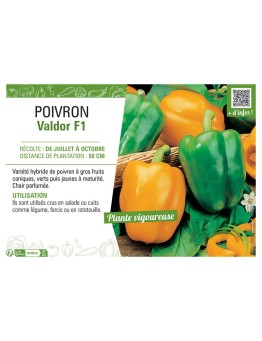 POIVRON VALDOR F1