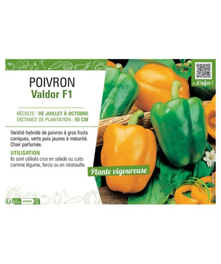 POIVRON VALDOR F1