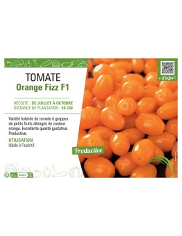 TOMATE ORANGE FIZZ F1