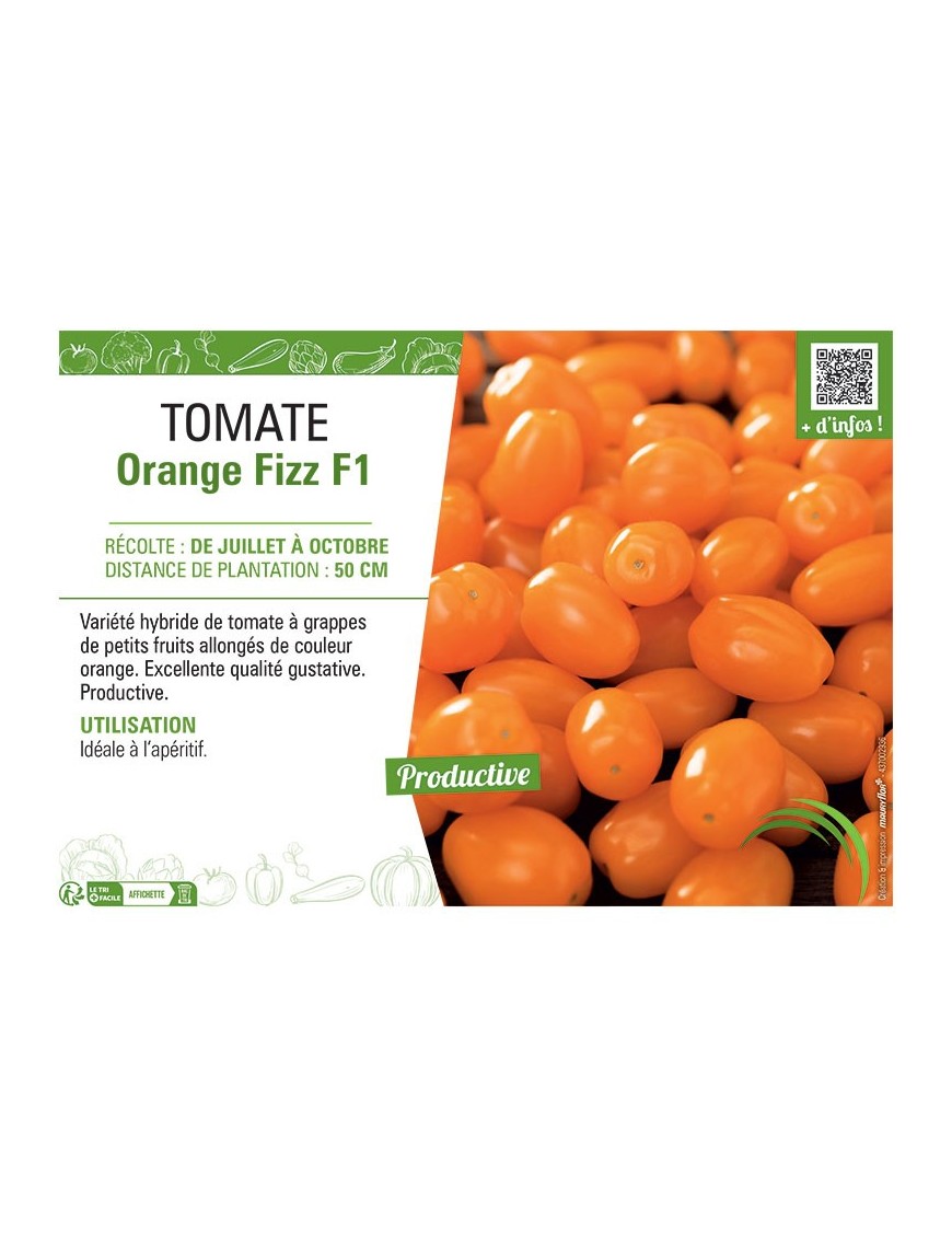 TOMATE ORANGE FIZZ F1