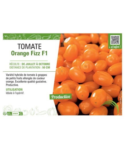 TOMATE ORANGE FIZZ F1