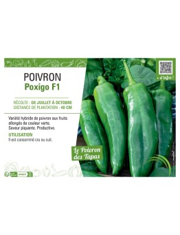PIMENT POXIGO F1