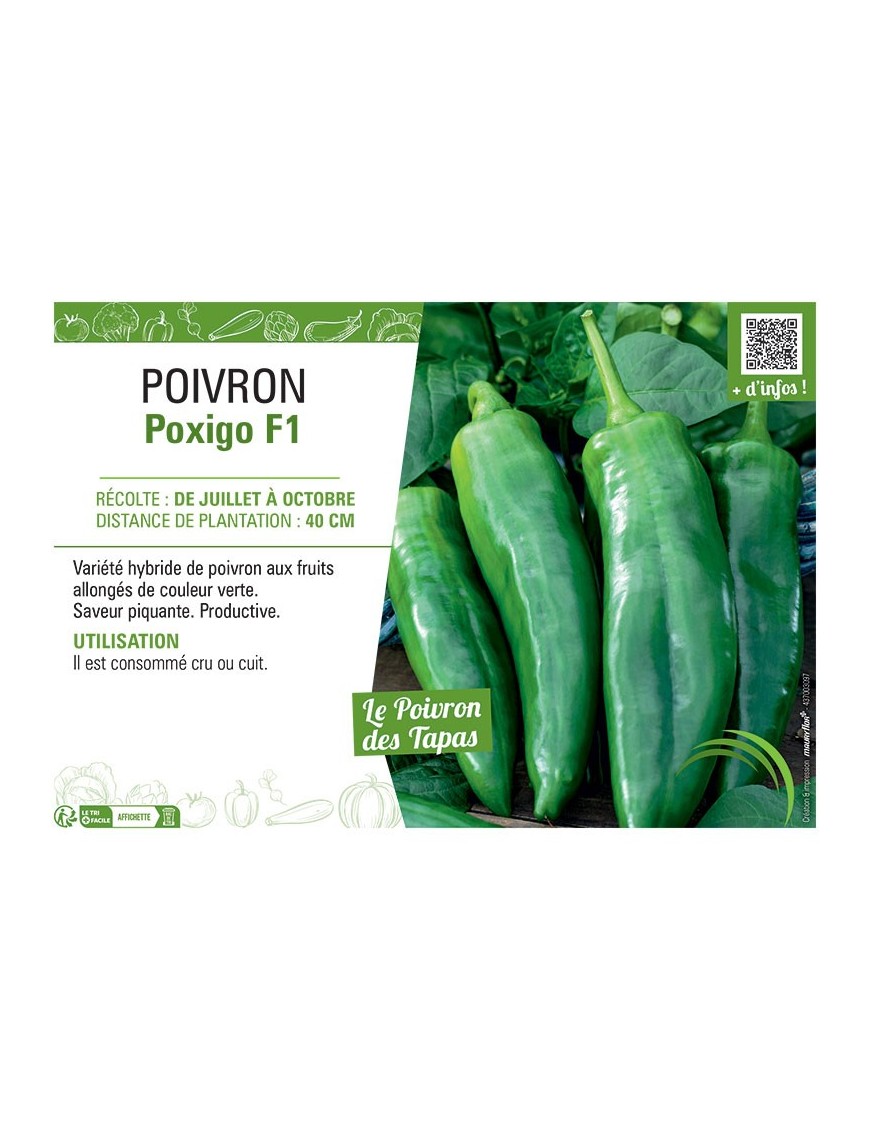 PIMENT POXIGO F1