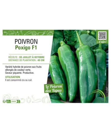 PIMENT POXIGO F1