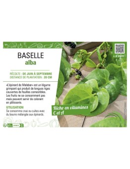 BASELLE ALBA
