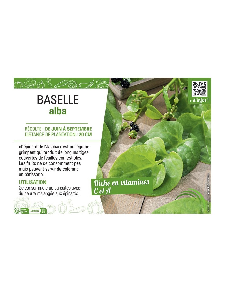 BASELLE ALBA