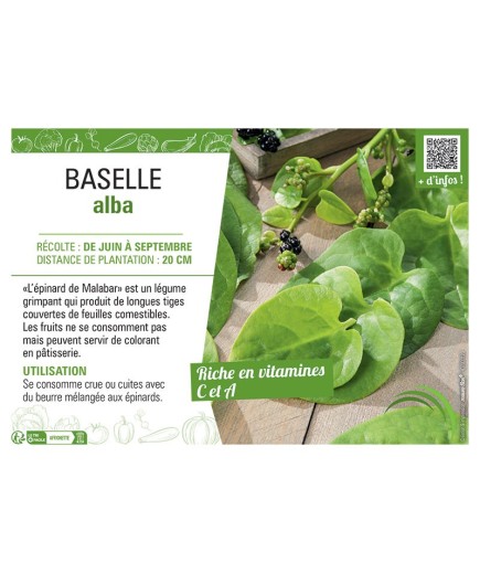 BASELLE ALBA