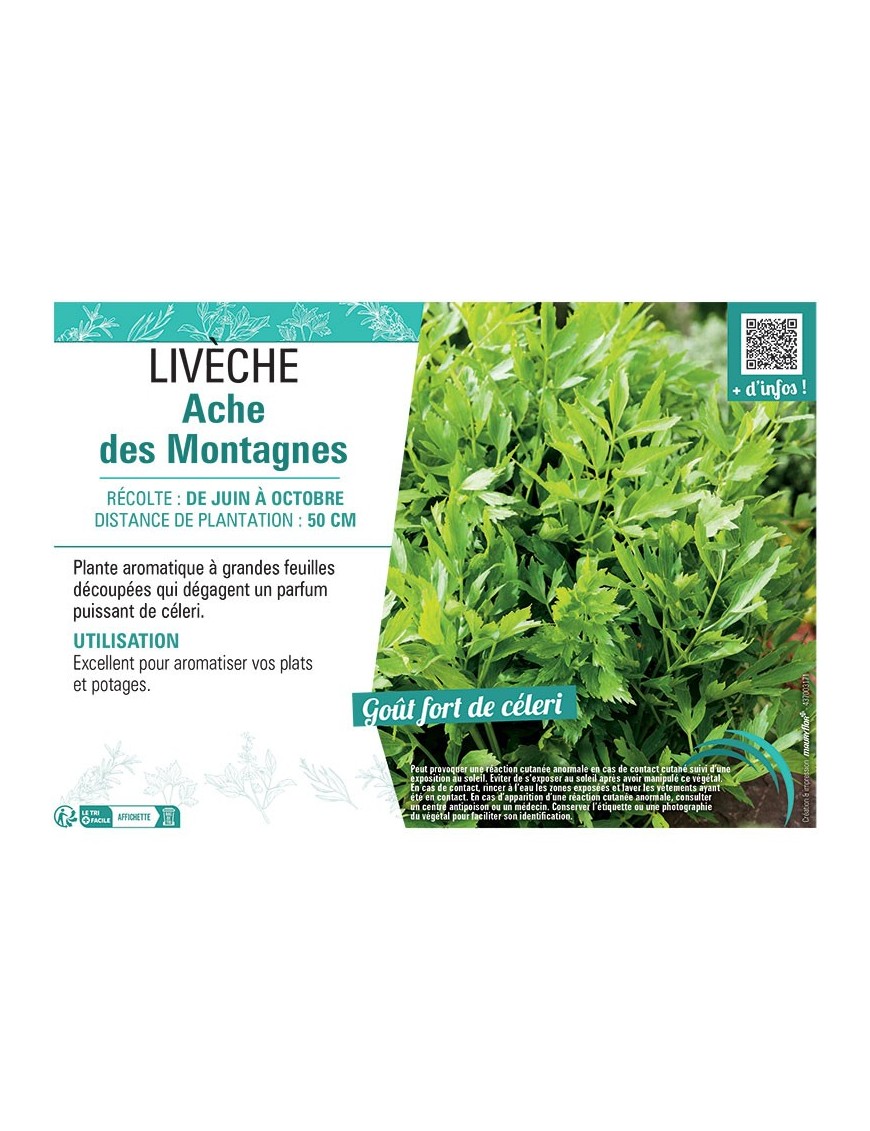 LIVÈCHE