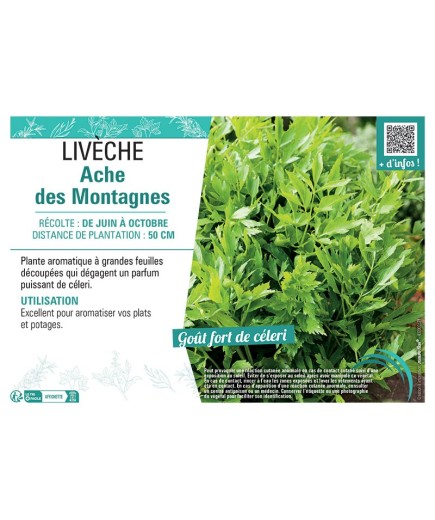 LIVÈCHE