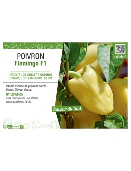POIVRON FLAMINGO F1