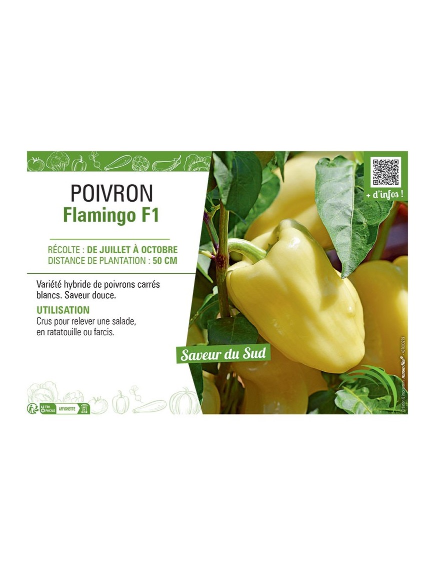 POIVRON FLAMINGO F1