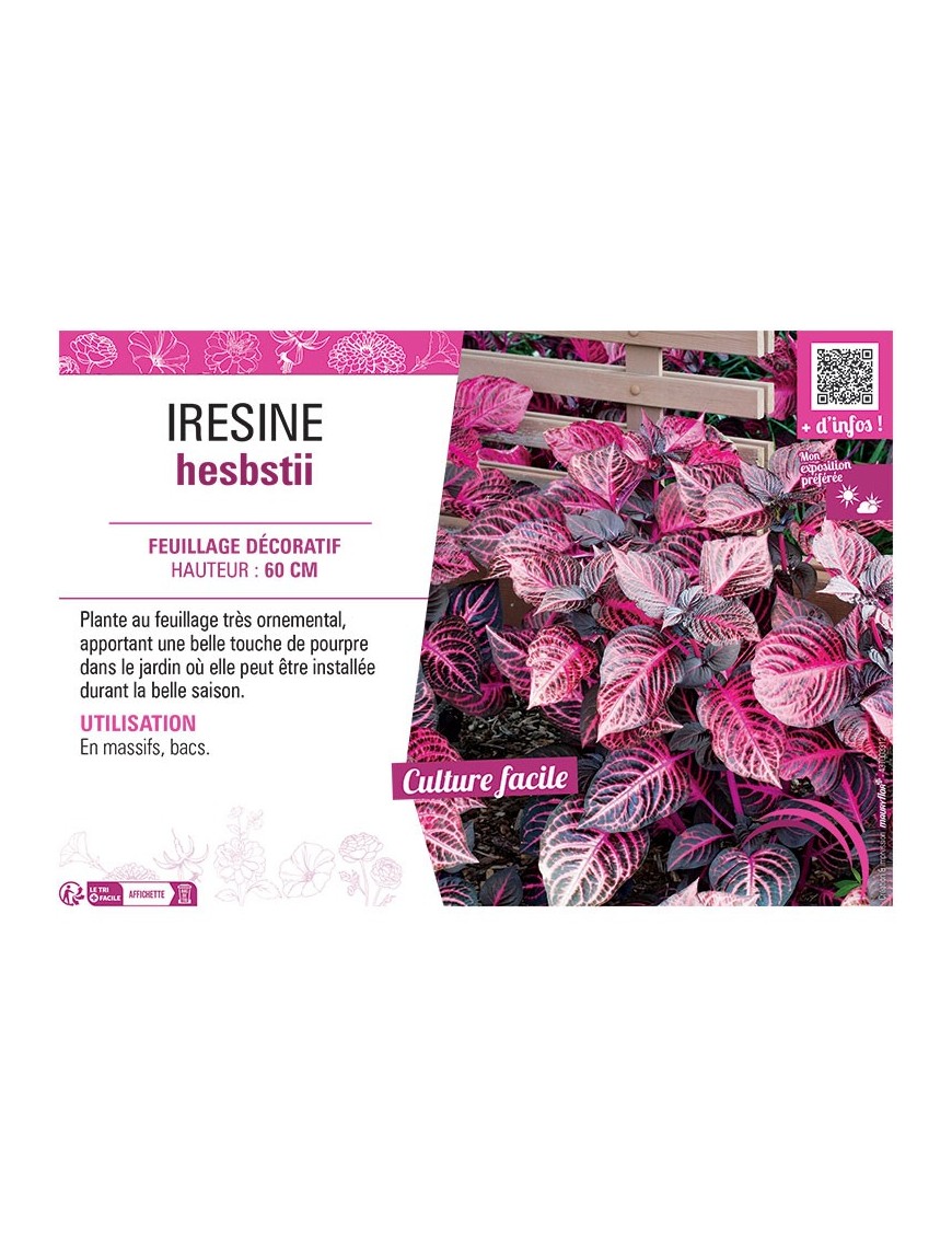 IRESINE