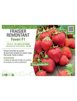 FRAISIER FAVORI F1