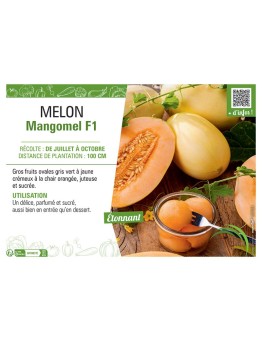 MELON MANGOMEL F1