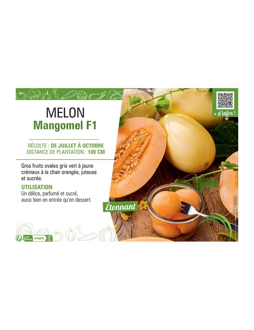 MELON MANGOMEL F1