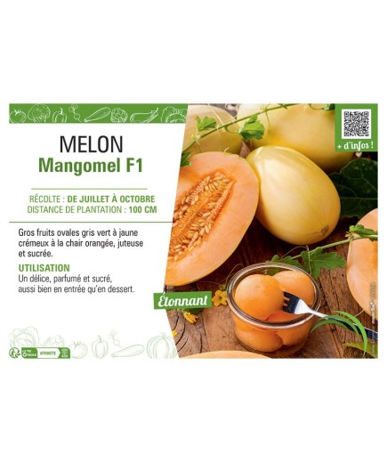 MELON MANGOMEL F1