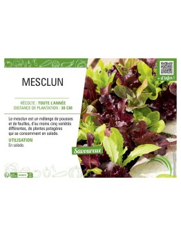 MESCLUN