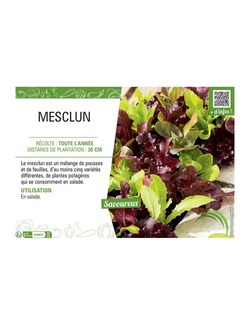 MESCLUN