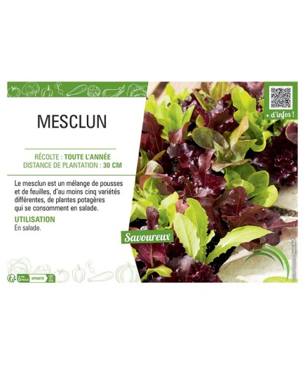 MESCLUN