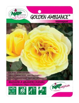 Golden Ambiance® Nirpmegayel