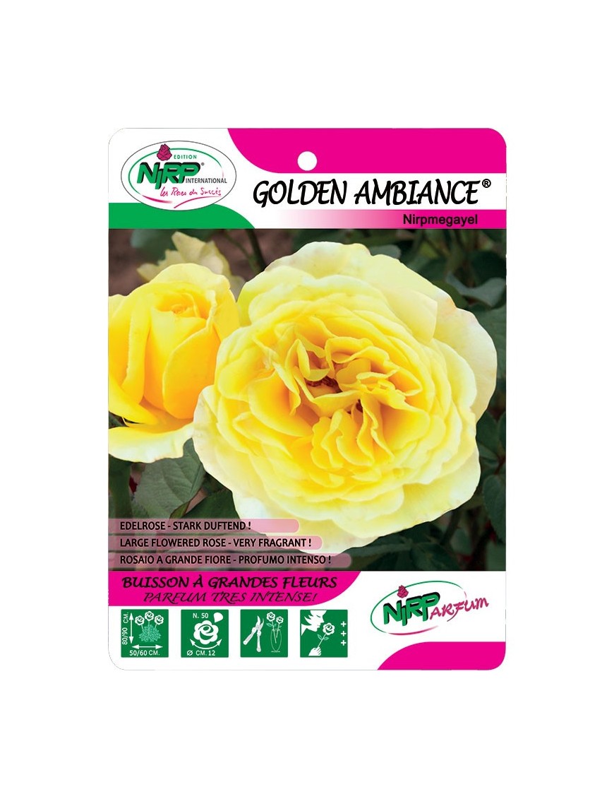 Golden Ambiance® Nirpmegayel