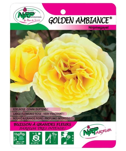 Golden Ambiance® Nirpmegayel