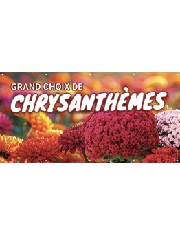 Banderole 195 - chrysanthèmes