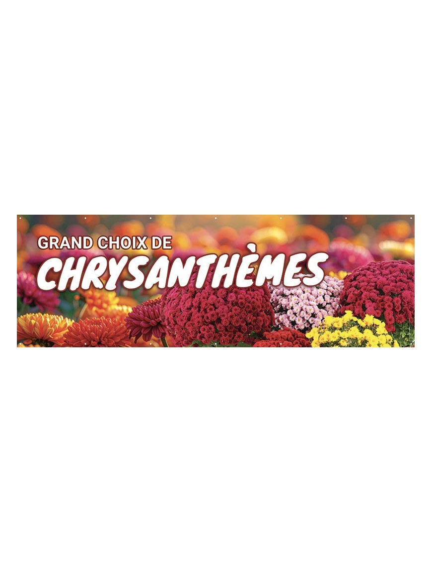 Banderole 195 - chrysanthèmes