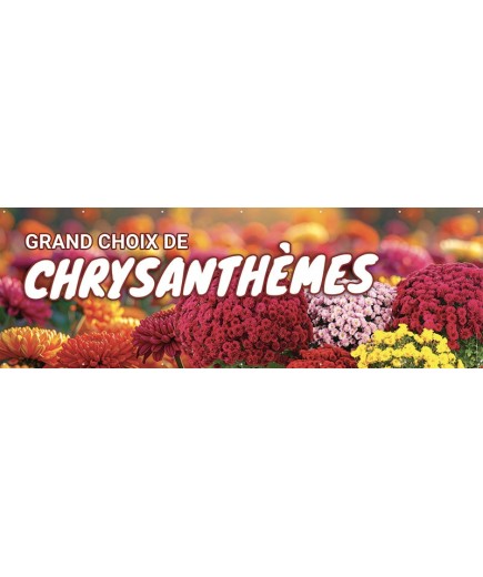 Banderole 195 - chrysanthèmes