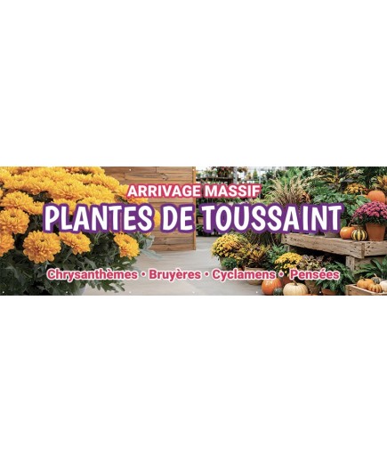 Banderole 196 - Plantes de Toussaint