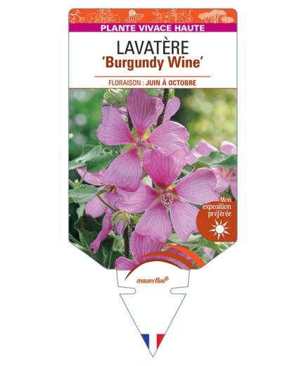 LAVATERA Burgundy Wine