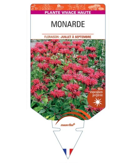 MONARDE (rouge)