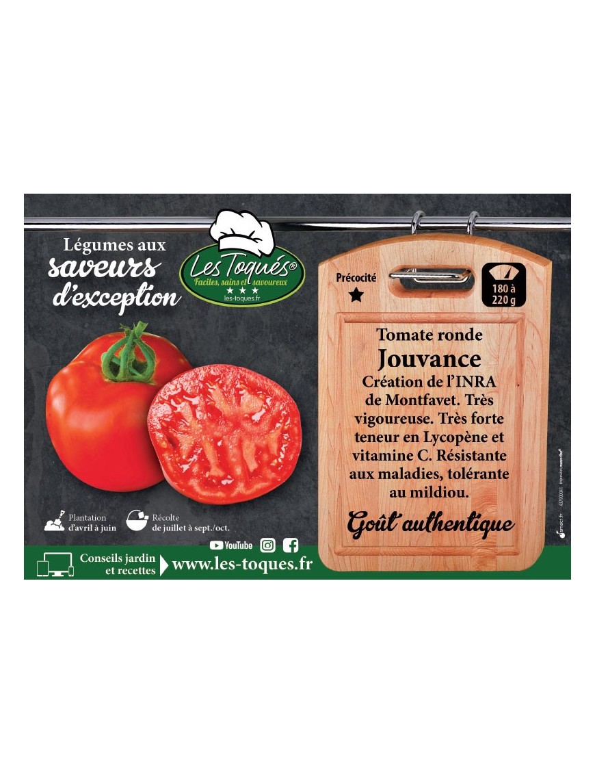 Tomate ronde Jouvance
