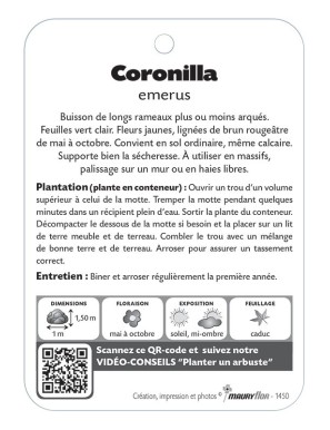 CORONILLA EMERUS voir Coronille*