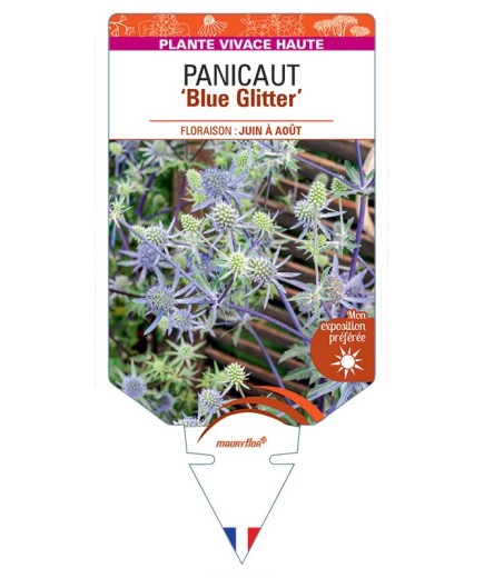 PANICAUT Blue Glitter