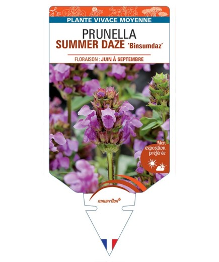 PRUNELLA SUMMER DAZE Binsumdaz