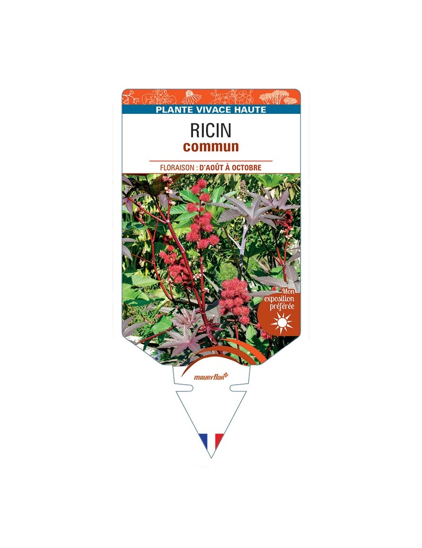 RICIN commun