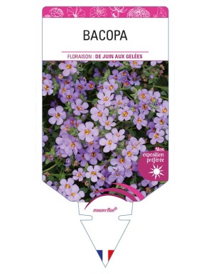 BACOPA (bleu)