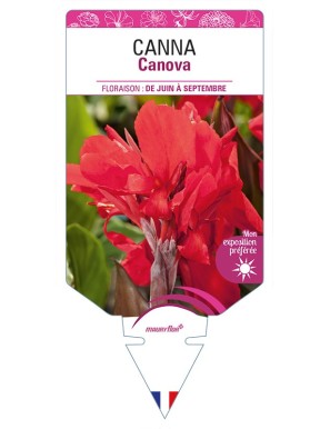 CANNA Canova